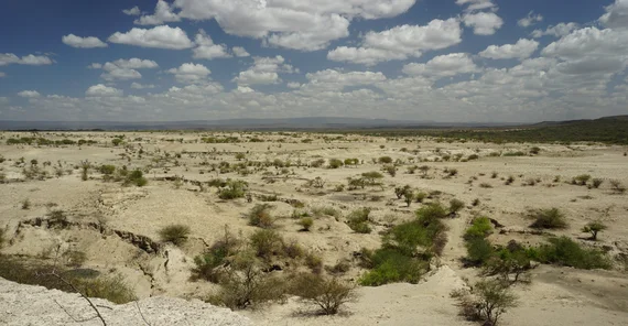 Diatomitablagerungen in Olorgesailie | Foto: Corinna Kallich